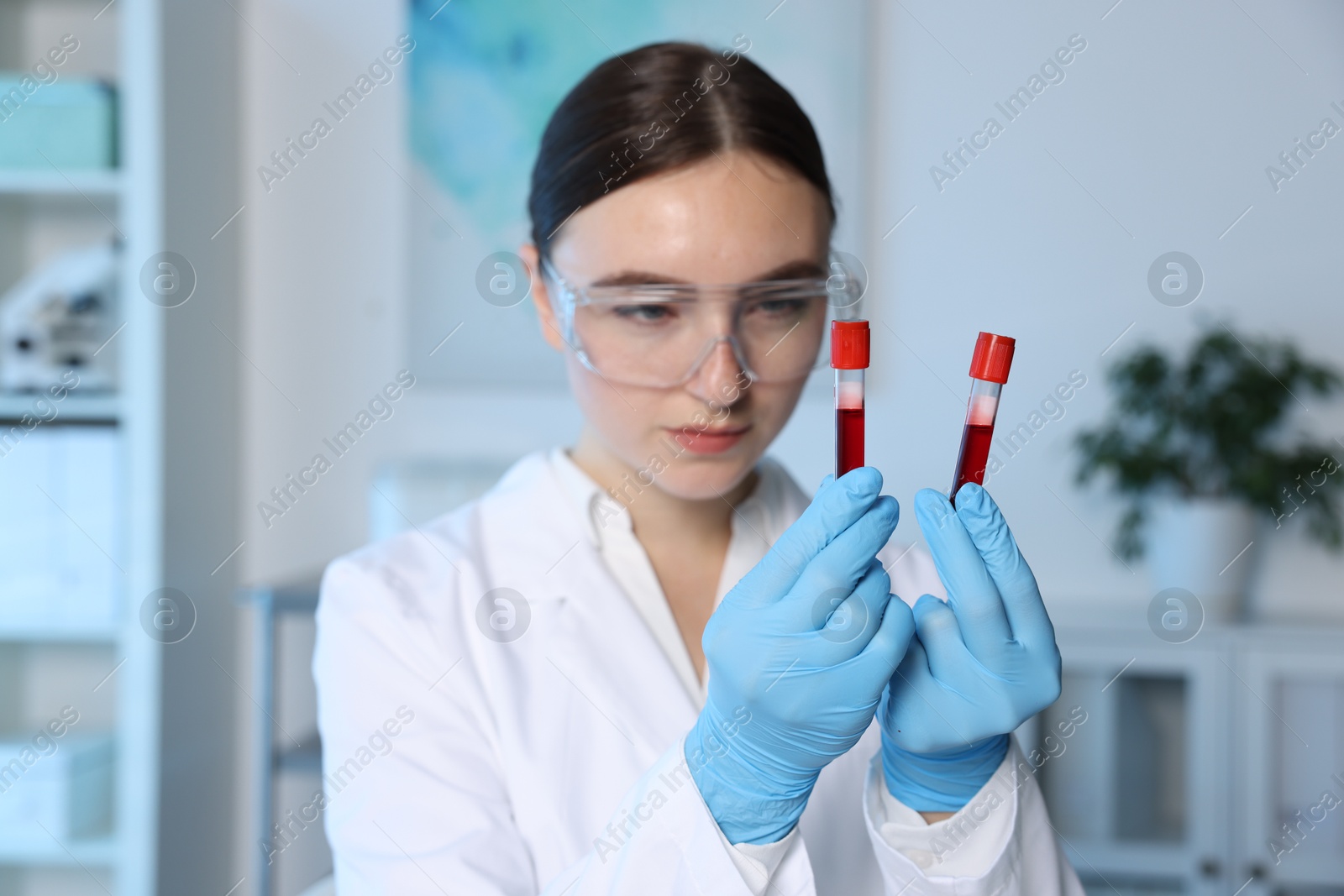 Photo of Laboratory testing. Doctor holding test tubes with blood samples indoors, selective focus