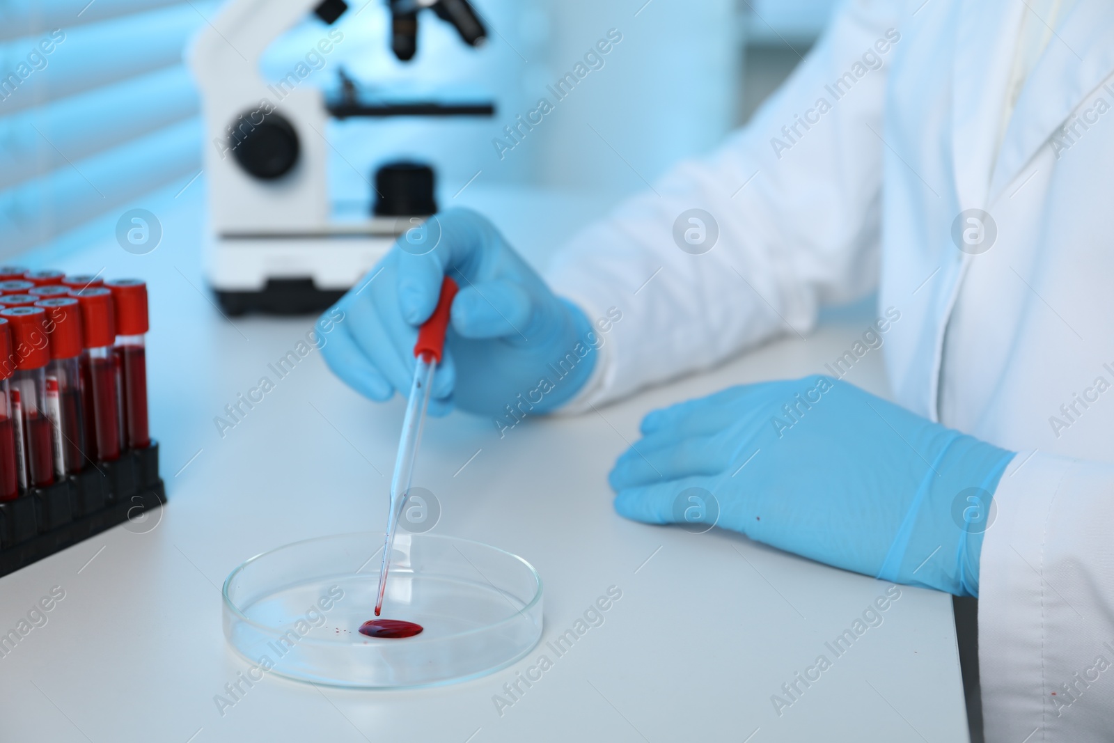 Photo of Laboratory testing. Doctor dripping blood sample into Petri dish at table indoors, closeup