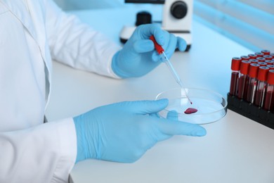 Laboratory testing. Doctor dripping blood sample into Petri dish at table indoors, closeup