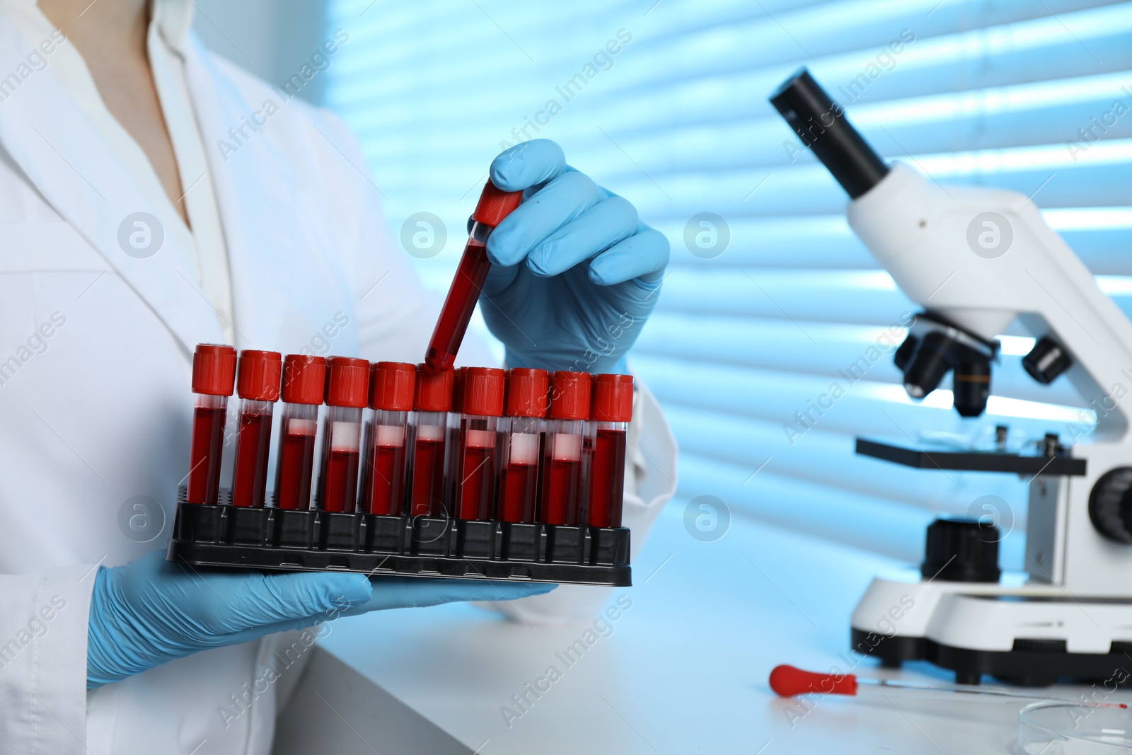 Photo of Laboratory testing. Doctor taking test tube with blood sample from rack indoors, closeup