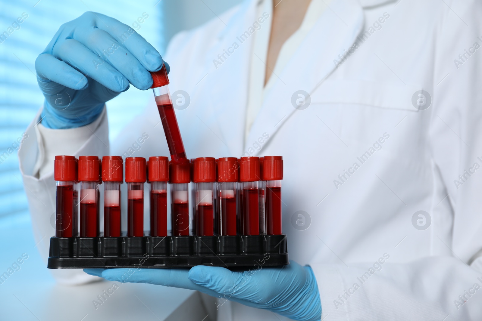 Photo of Laboratory testing. Doctor taking test tube with blood sample from rack indoors, closeup