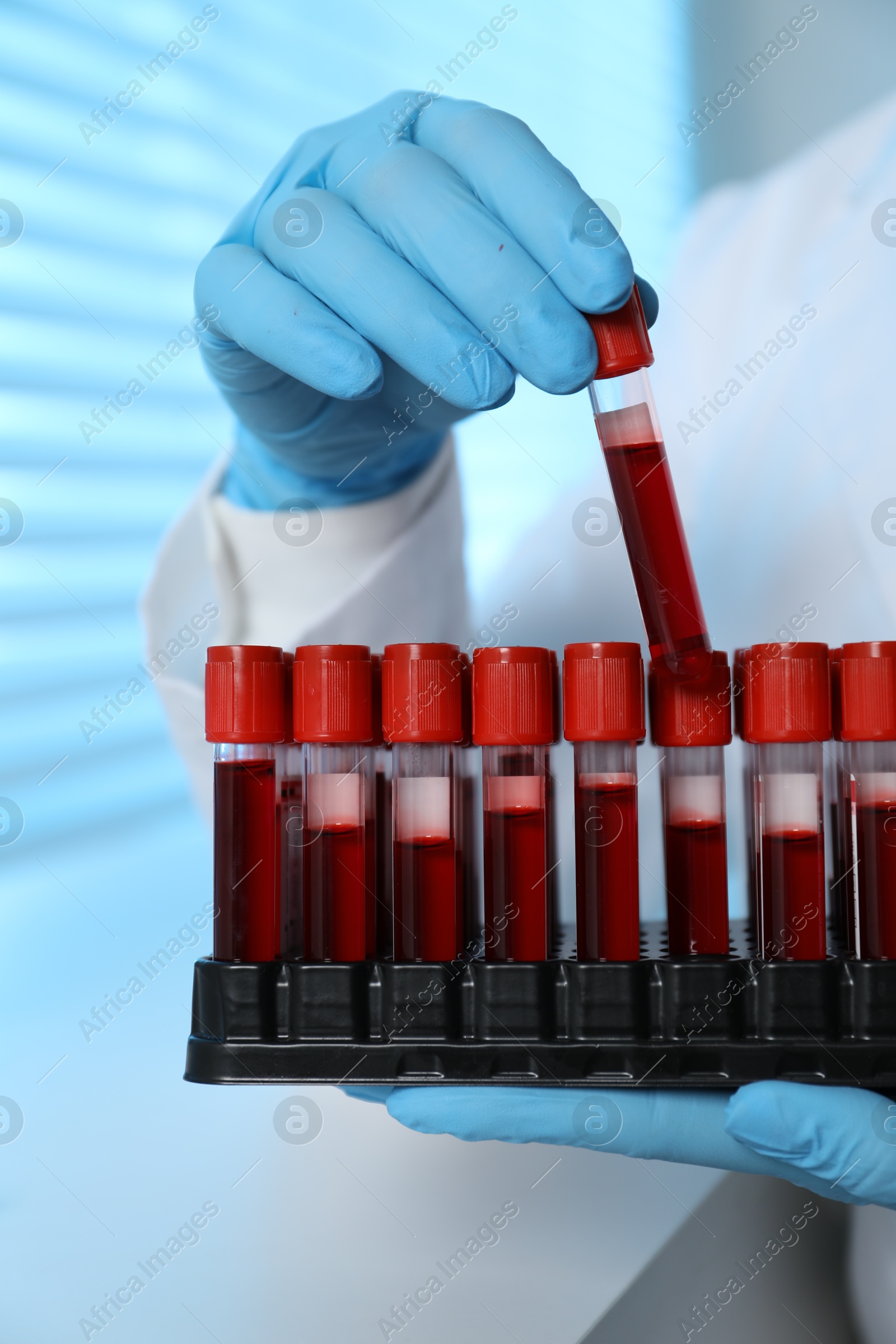 Photo of Laboratory testing. Doctor taking test tube with blood sample from rack indoors, closeup