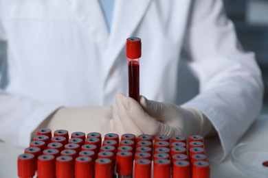 Laboratory testing. Doctor holding test tube with blood sample indoors, closeup