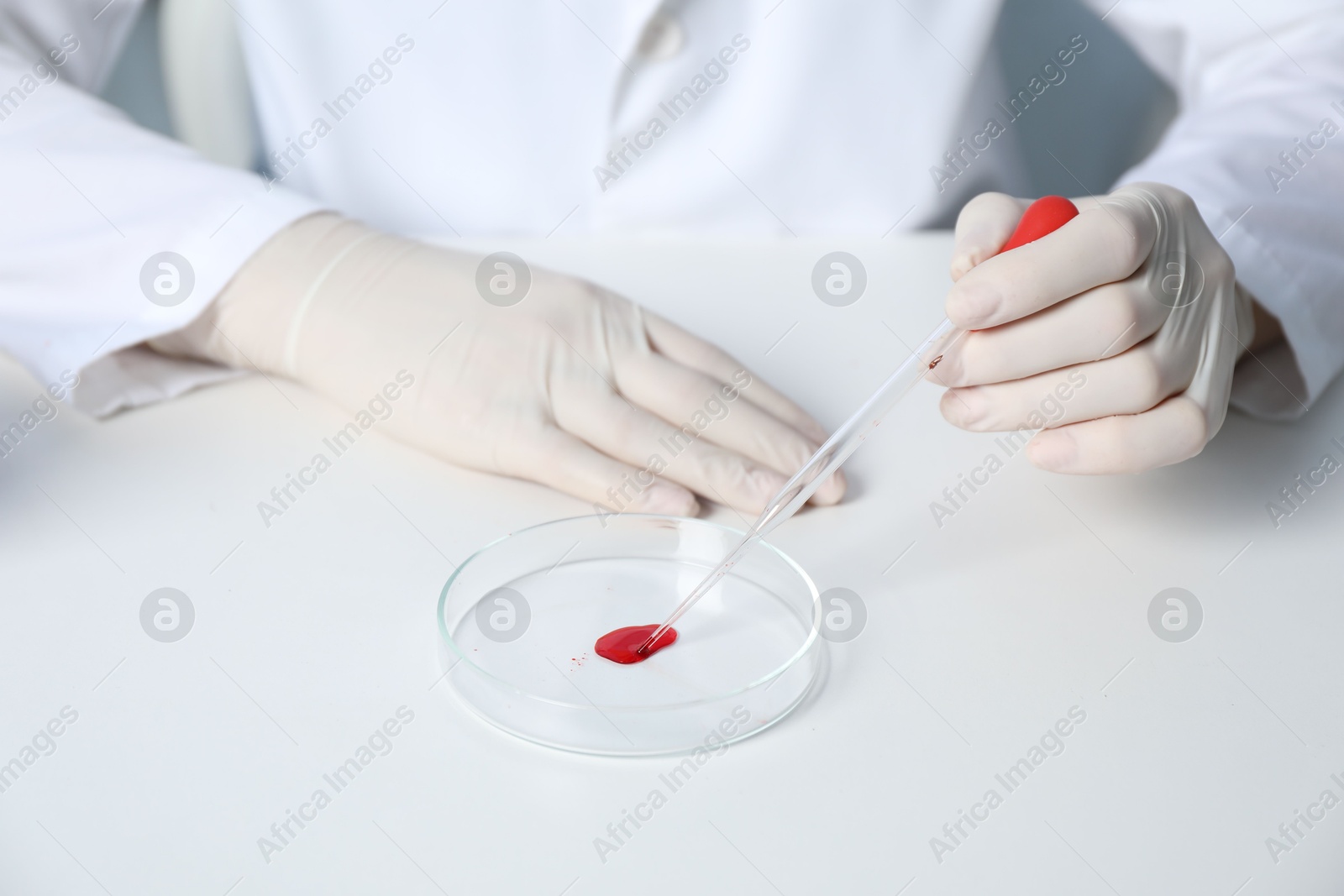 Photo of Laboratory testing. Doctor dripping blood sample into Petri dish at table indoors, closeup