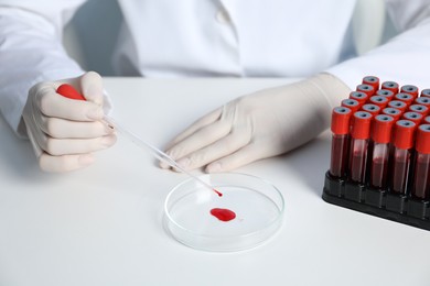 Laboratory testing. Doctor dripping blood sample into Petri dish at table indoors, closeup