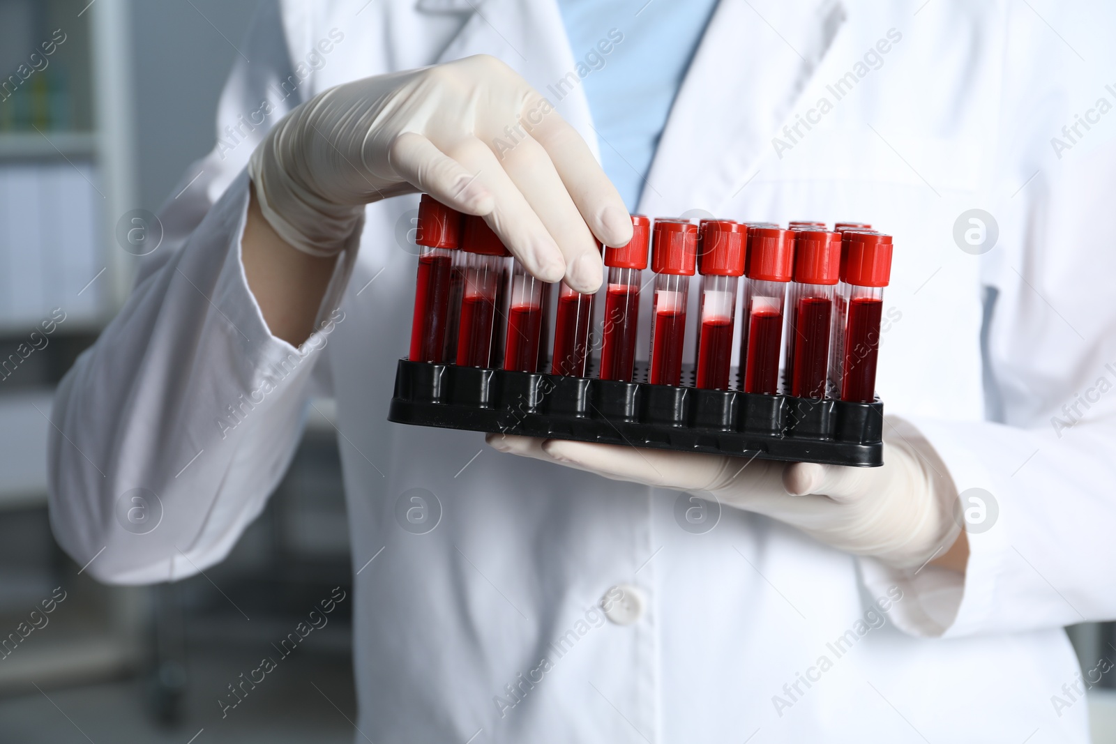 Photo of Laboratory testing. Doctor holding test tubes with blood samples indoors, closeup