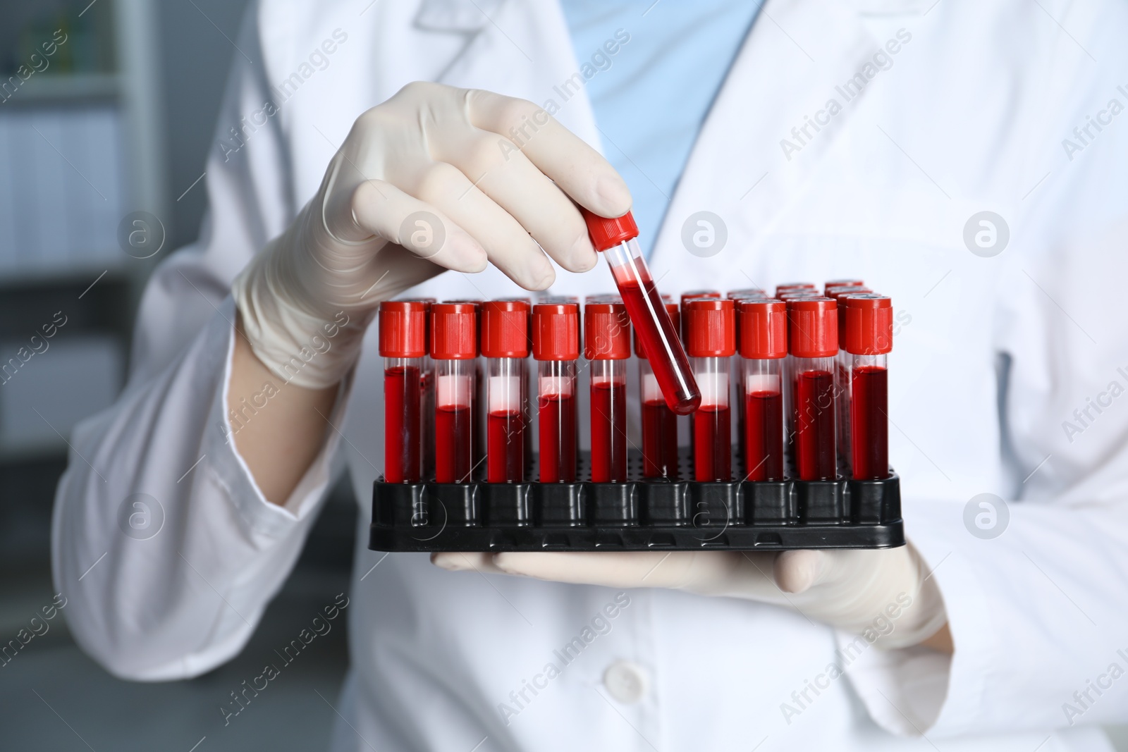 Photo of Laboratory testing. Doctor holding test tubes with blood samples indoors, closeup