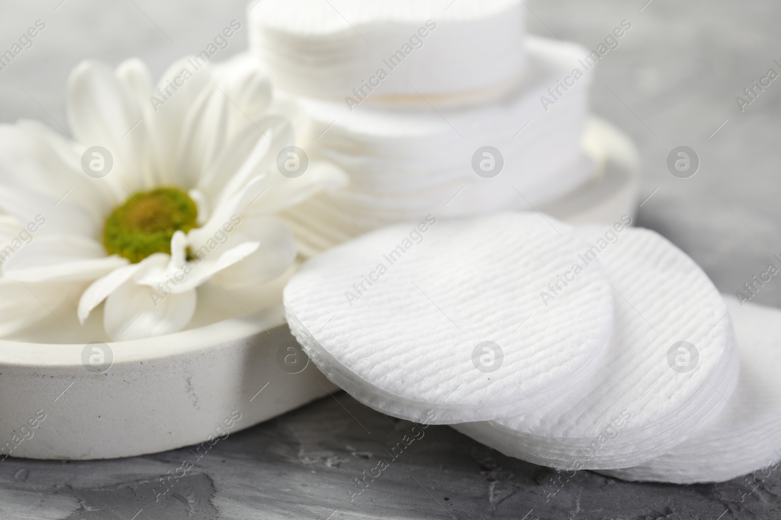 Photo of Clean cotton pads and flower on grey table, closeup