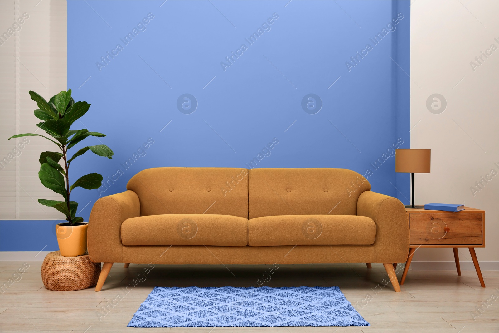 Image of Stylish sofa, side table and houseplant near light blue wall indoors