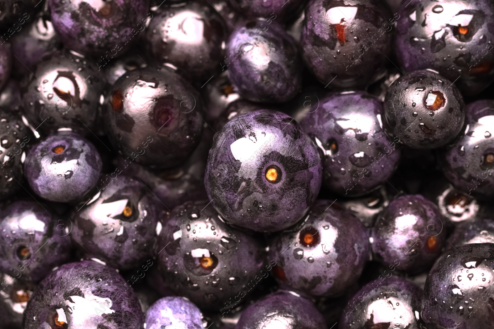 Photo of Wet acai berries as background, closeup view