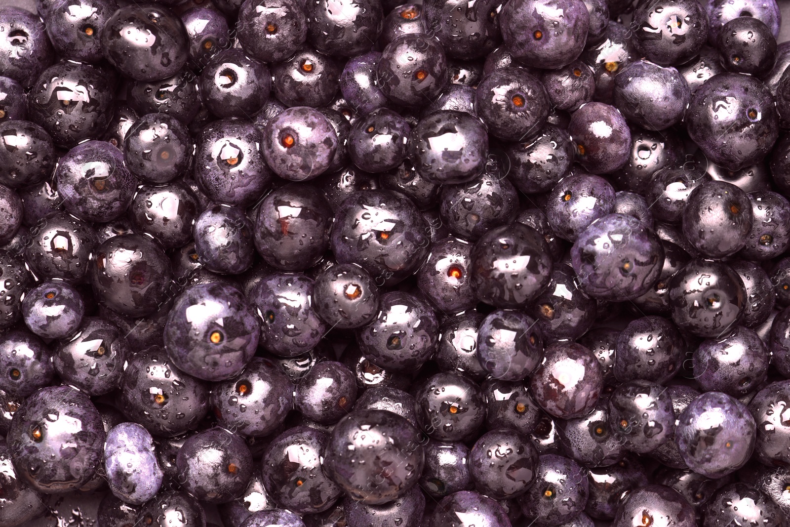 Photo of Wet acai berries as background, top view