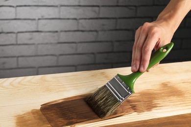 Woman with brush applying walnut wood stain onto wooden surface, closeup