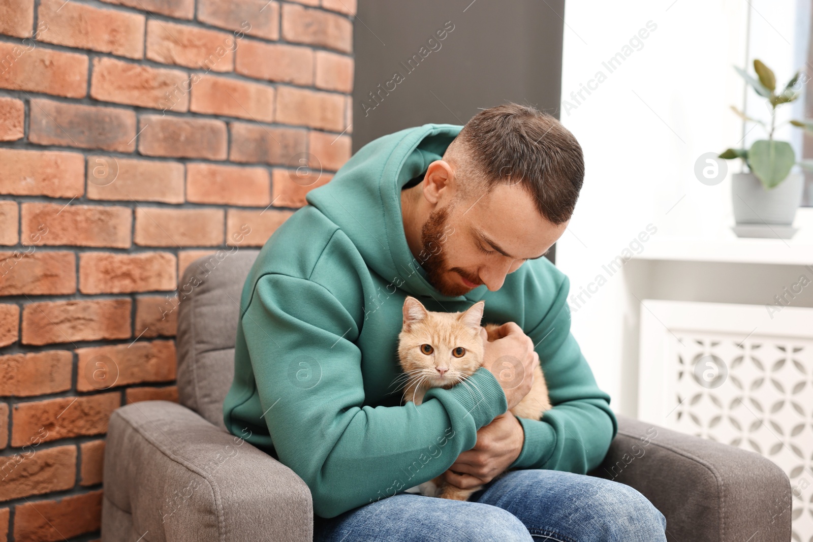 Photo of Man petting cute ginger cat on armchair at home