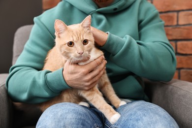 Photo of Man petting cute ginger cat on armchair at home, closeup