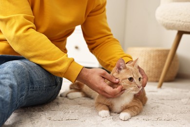 Photo of Man petting cute ginger cat on floor at home, closeup