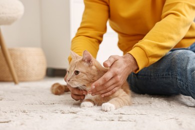 Man petting cute ginger cat on floor at home, closeup