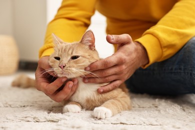 Man petting cute ginger cat on floor at home, closeup