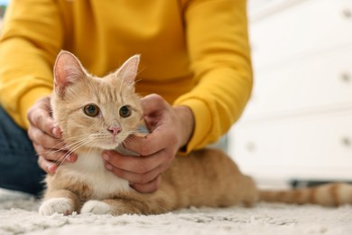 Photo of Man petting cute ginger cat on floor at home, closeup