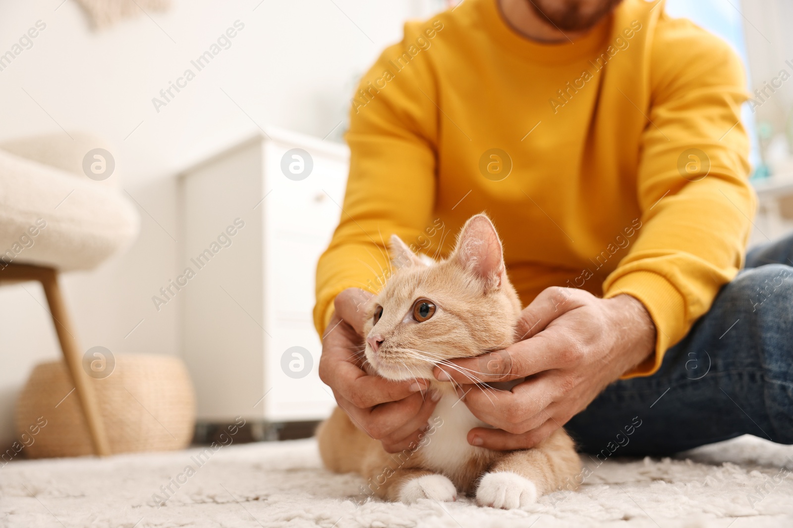 Photo of Man petting cute ginger cat on floor at home, closeup. Space for text