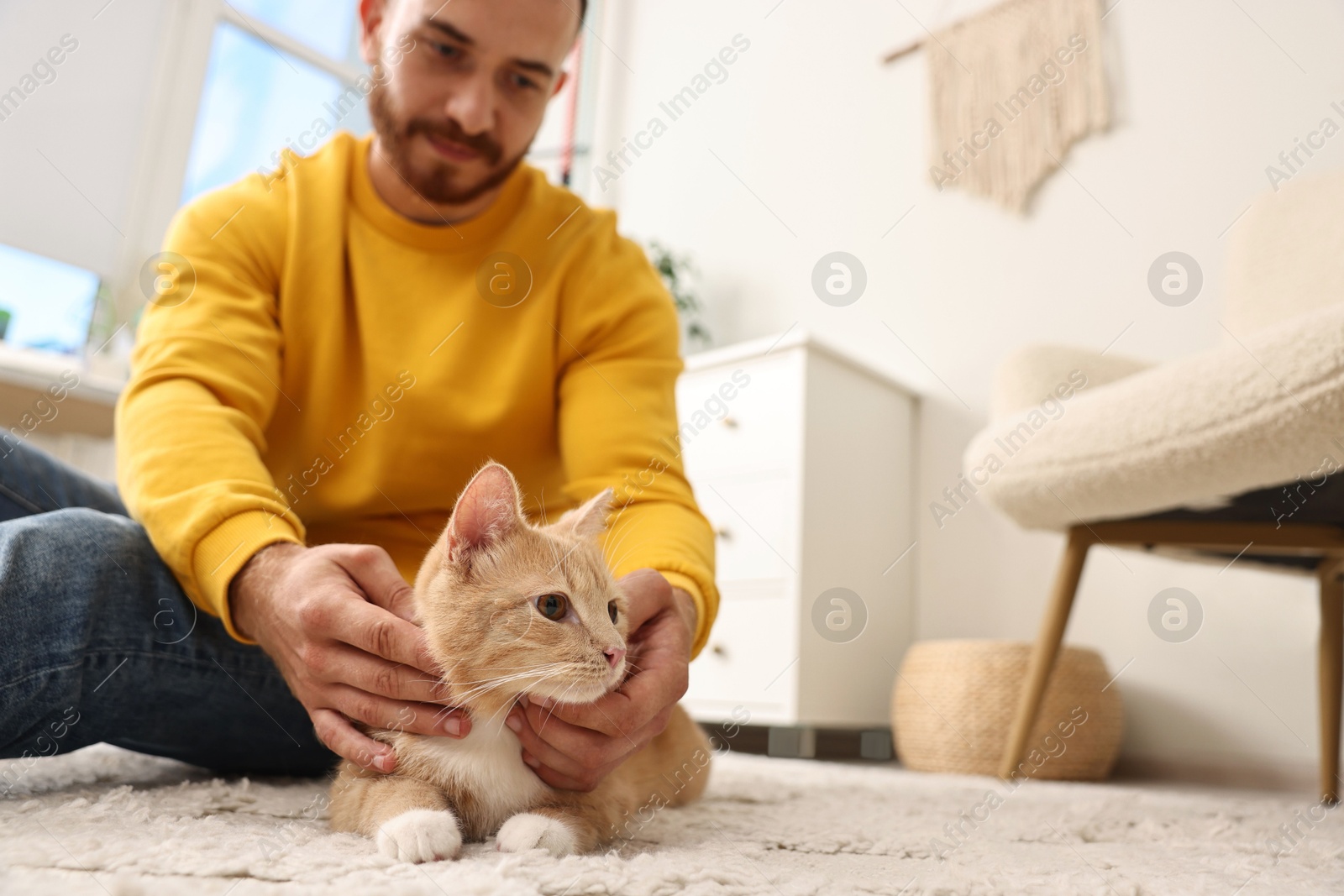 Photo of Man petting cute ginger cat on floor at home, selective focus. Space for text