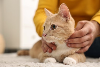 Photo of Man petting cute ginger cat on floor at home, closeup