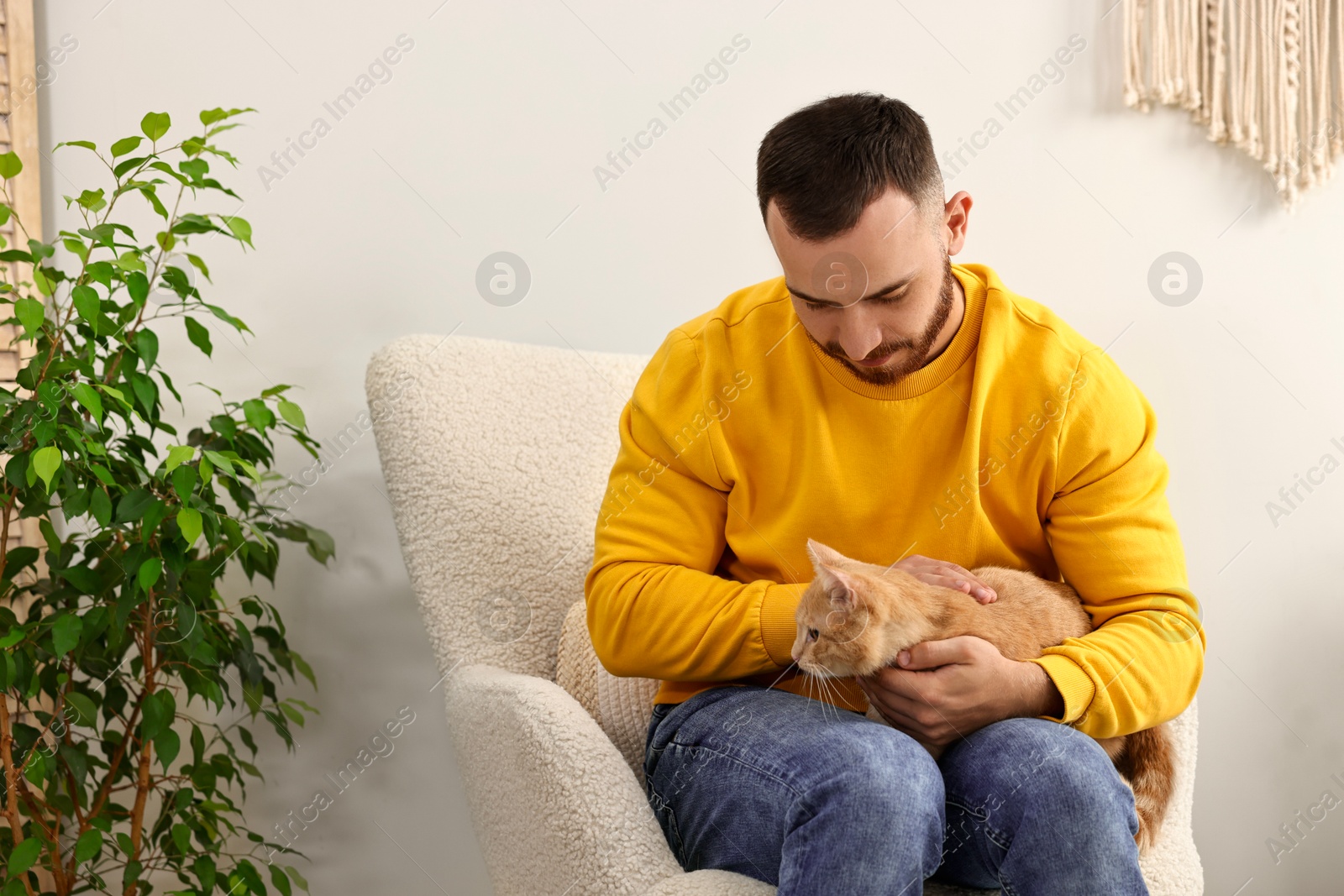 Photo of Man petting cute ginger cat on armchair at home