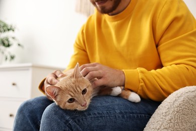 Man petting cute ginger cat on armchair at home, closeup