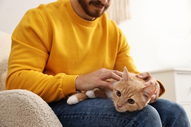 Photo of Man petting cute ginger cat on armchair at home, closeup