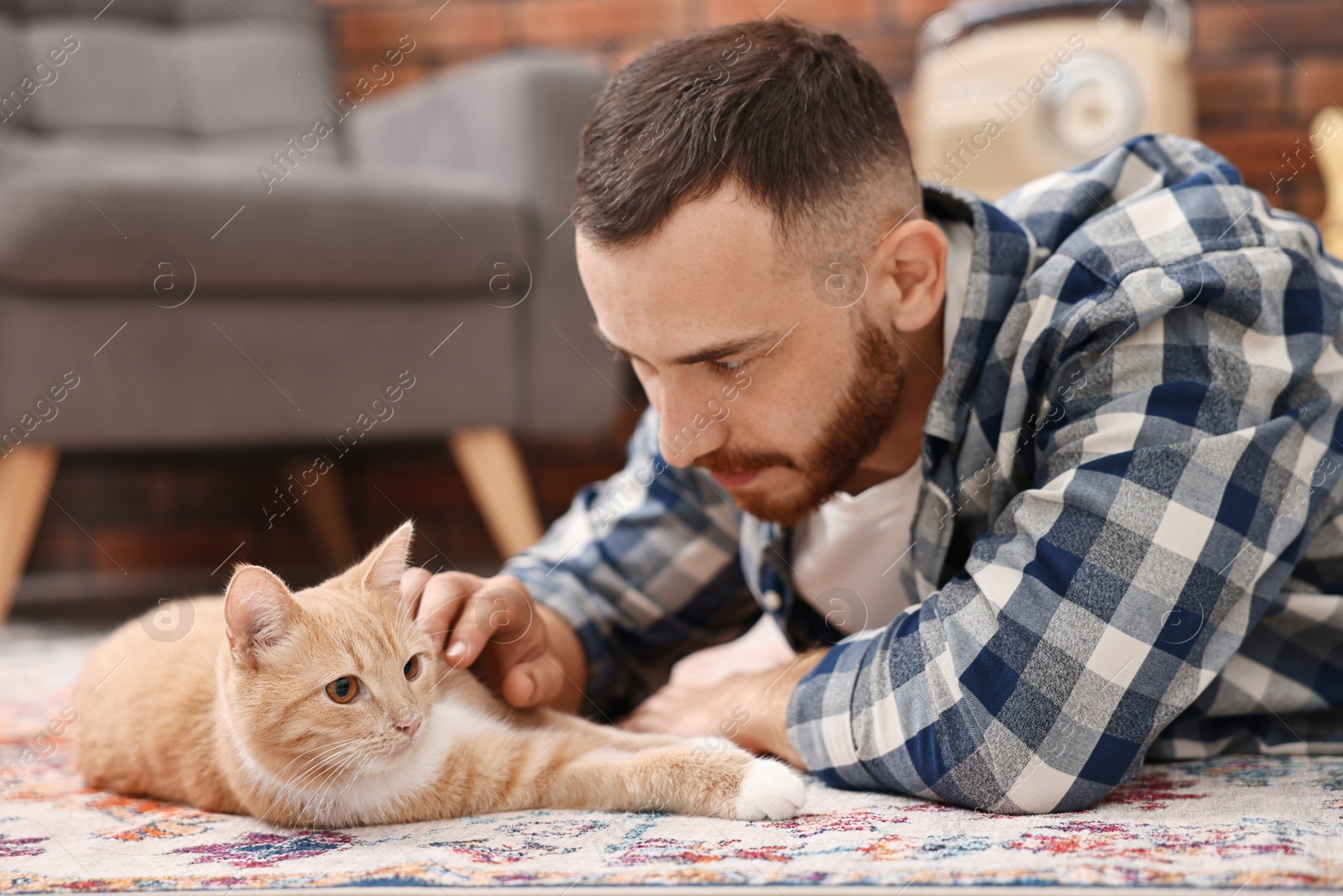 Photo of Man petting cute ginger cat on floor at home