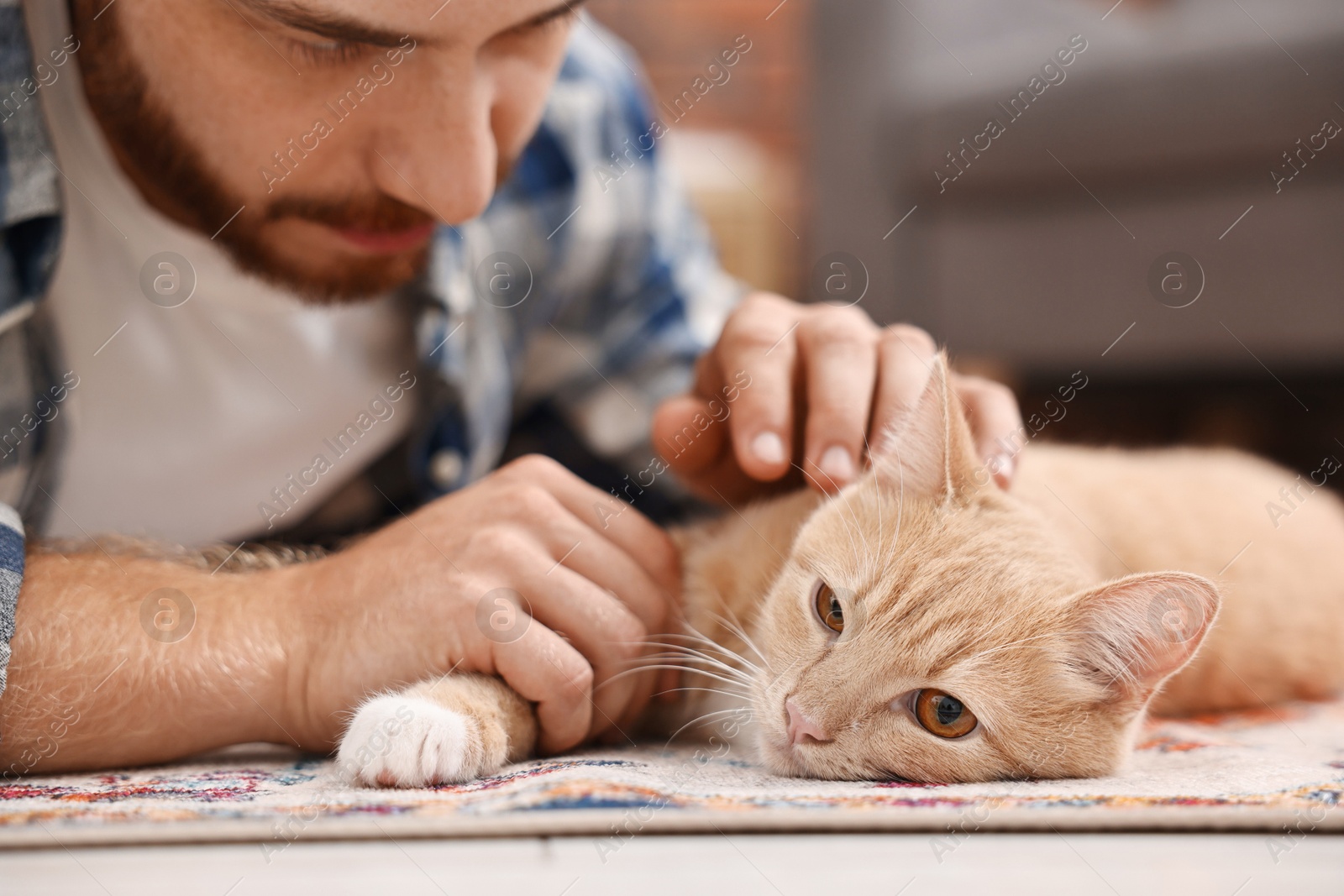 Photo of Man petting cute ginger cat on floor at home