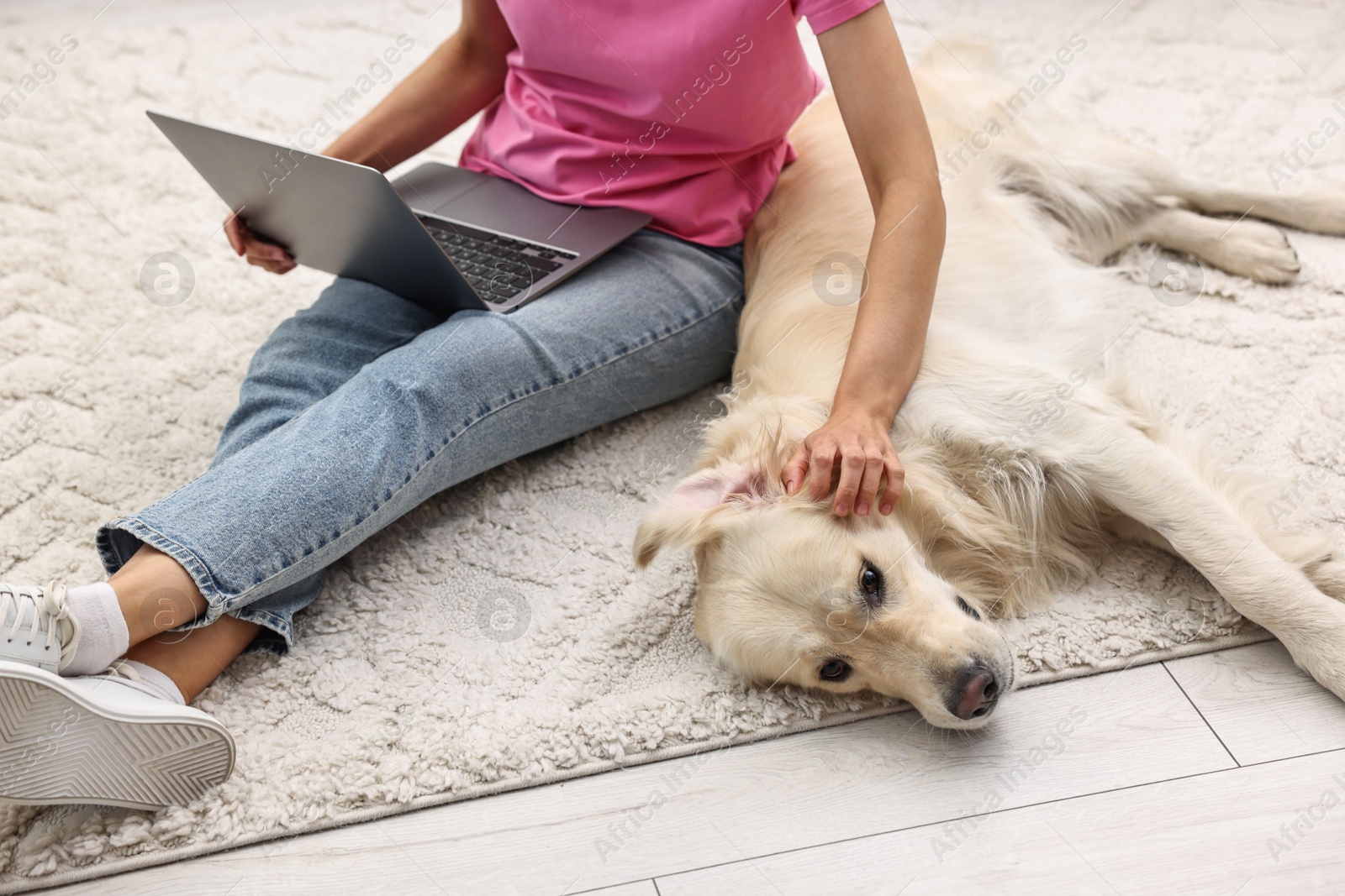 Photo of Online pet shop. Woman with laptop making order for cute Golden Retriever dog on rug at home, closeup