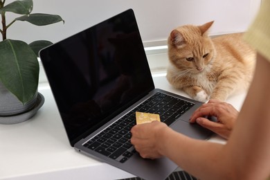 Online pet shop. Woman with laptop, credit card and cute cat making order at home, closeup