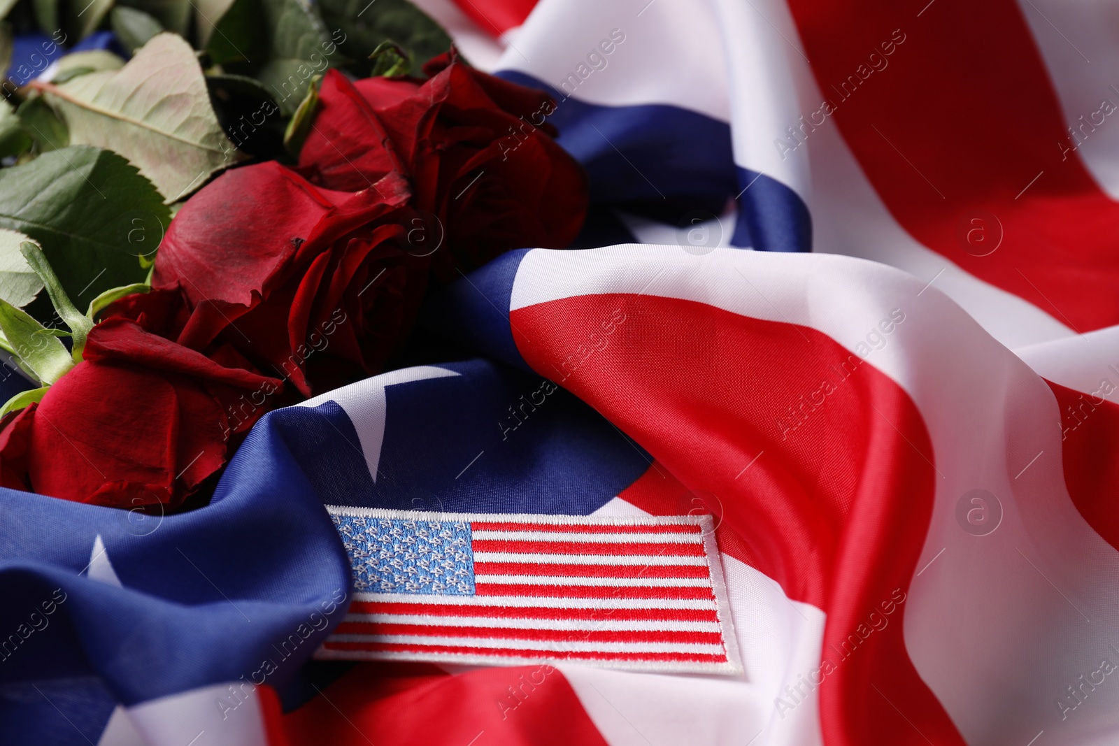 Photo of Veterans day. USA army patch and rose flowers on American flag