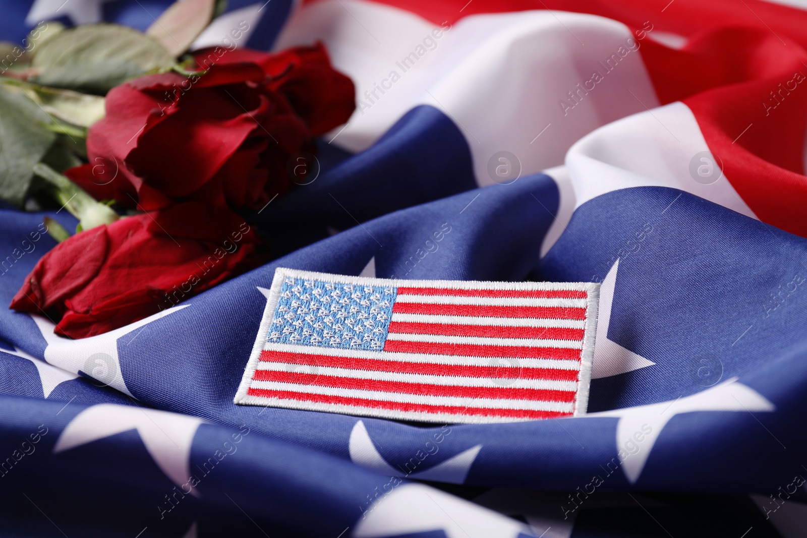 Photo of Veterans day. American army patch and rose flowers on USA flag, closeup