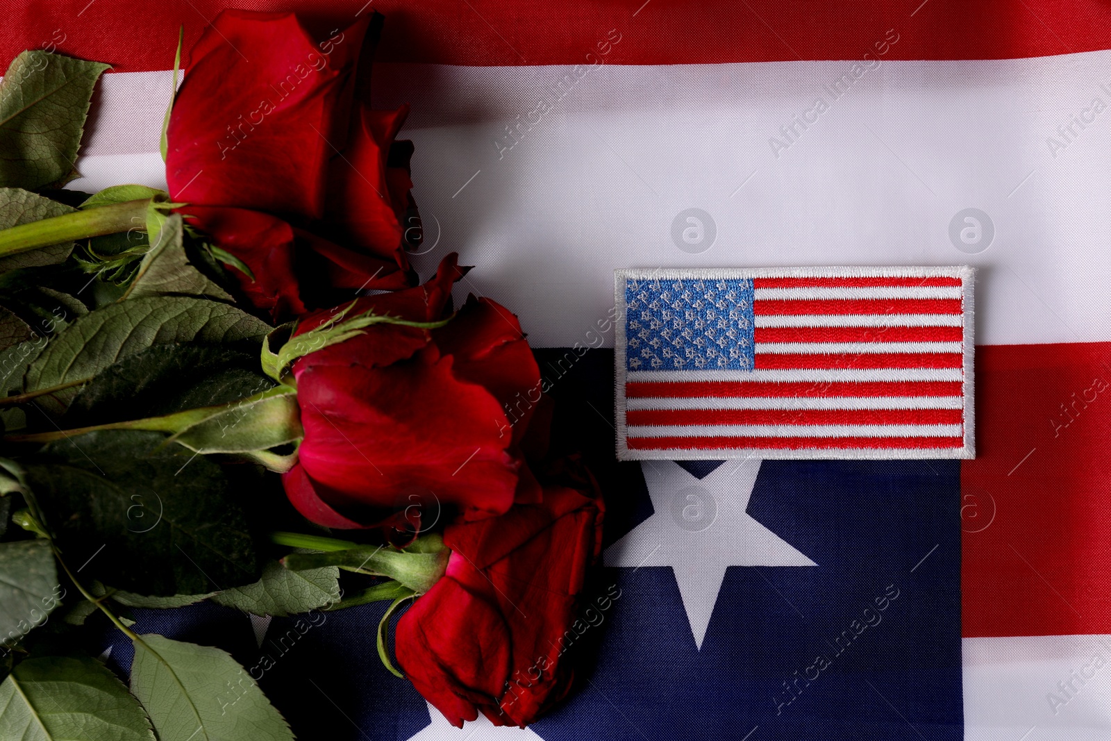 Photo of Veterans day. American army patch and rose flowers on USA flag, flat lay