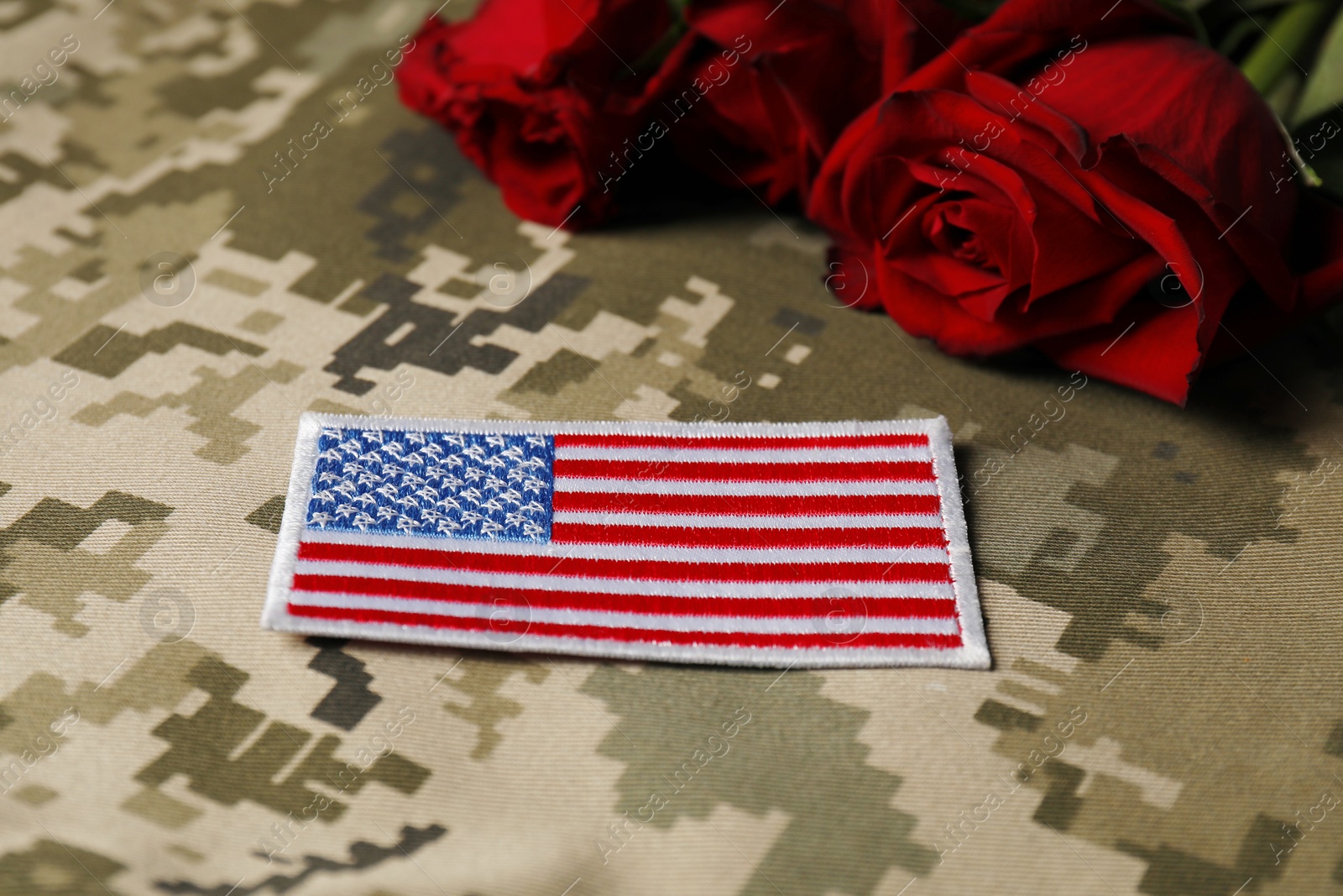 Photo of Veterans day. USA army patch and rose flowers on camouflage fabric, closeup