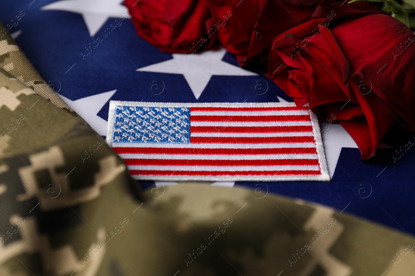 Photo of Veterans day. USA army patch, rose flowers and military uniform on American flag, closeup