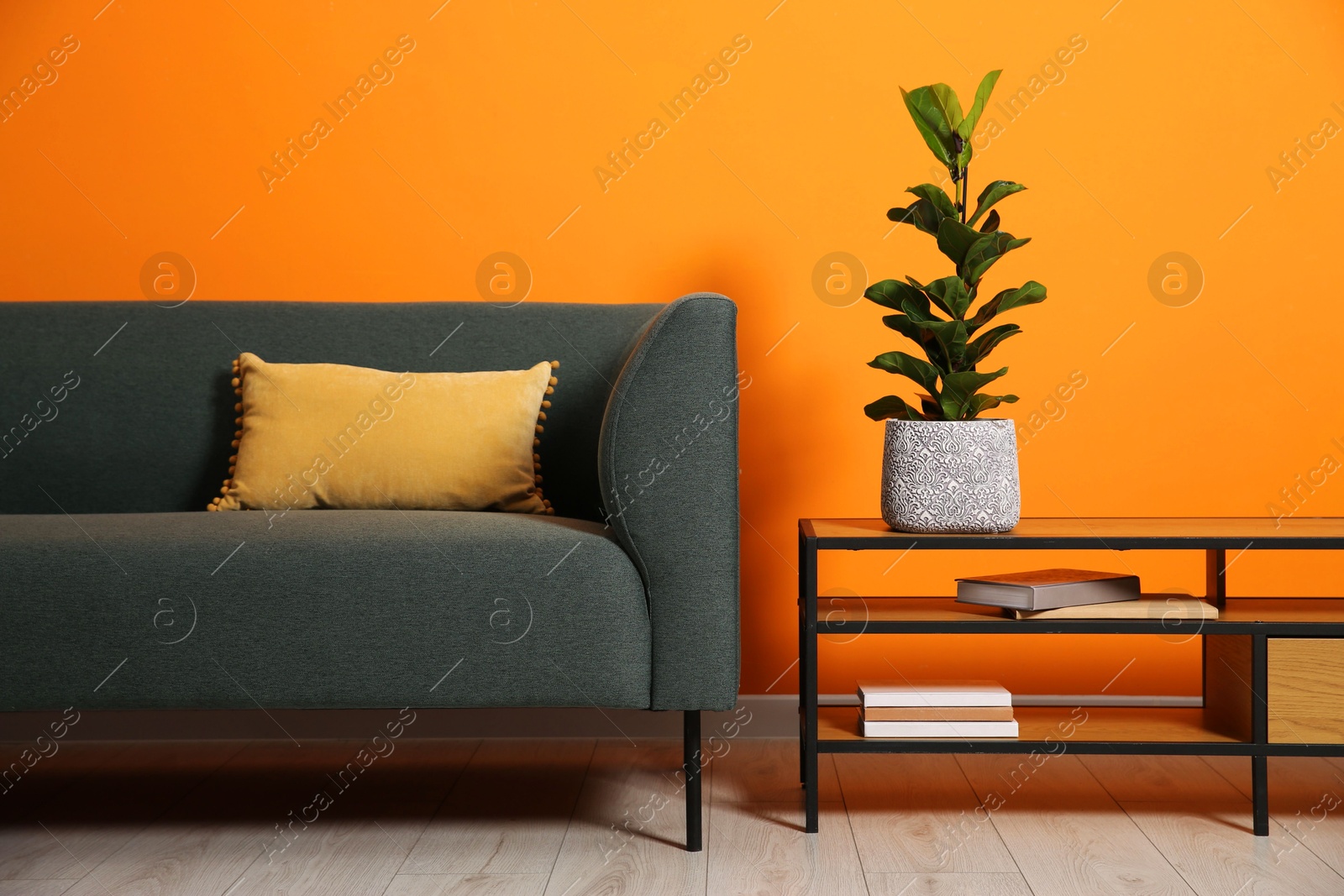 Photo of Stylish sofa with cushion and plant on coffee table near orange wall