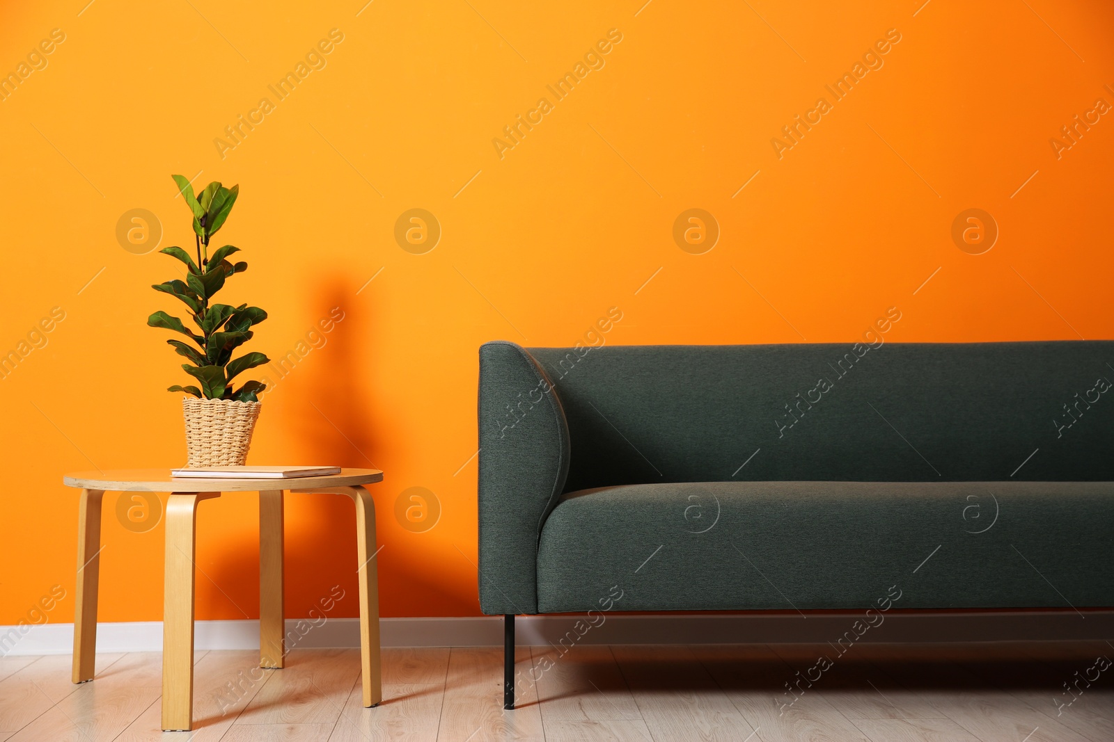 Photo of Stylish sofa, plant and book on coffee table near orange wall