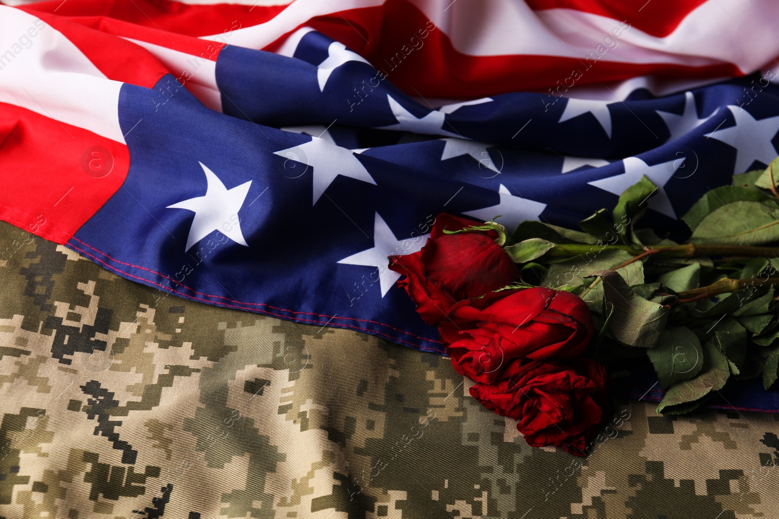 Photo of Veterans day. American flag, roses and military uniform, top view