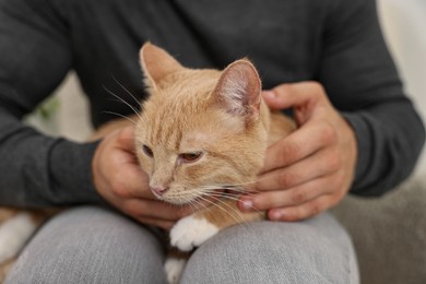 Man petting cute ginger cat on sofa at home, closeup