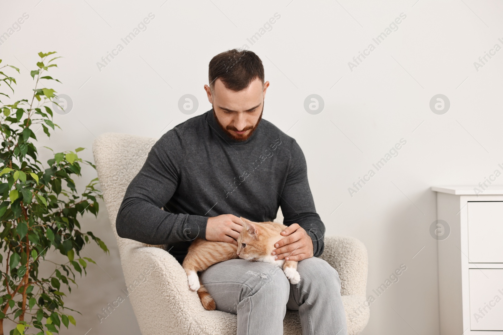 Photo of Man petting cute ginger cat on armchair at home