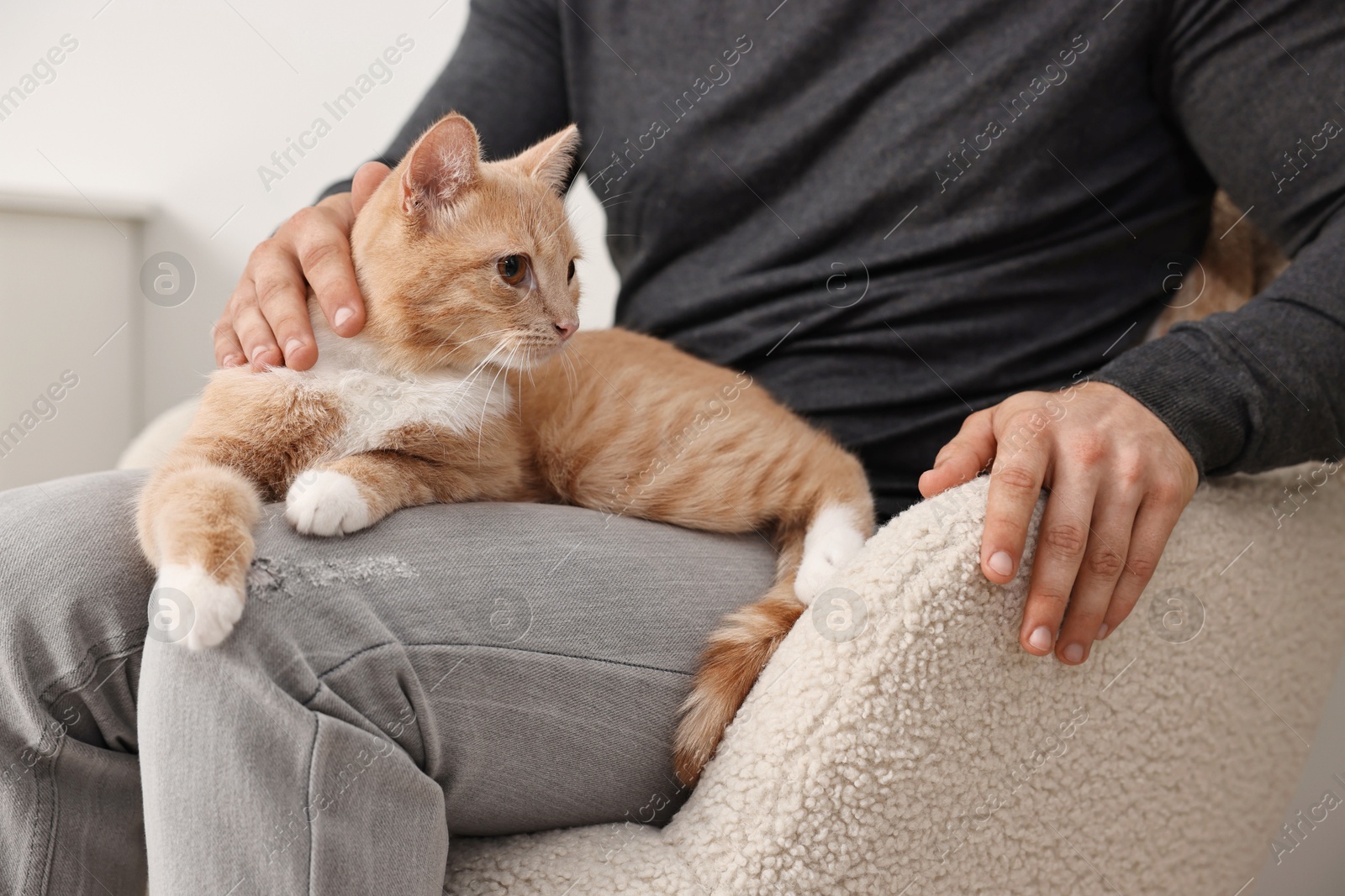 Photo of Man petting cute ginger cat on armchair at home, closeup