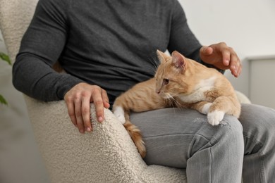 Photo of Man petting cute ginger cat on armchair at home, closeup