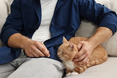 Photo of Man petting cute ginger cat on sofa at home, closeup