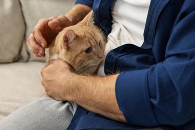 Photo of Man petting cute ginger cat on sofa at home, closeup