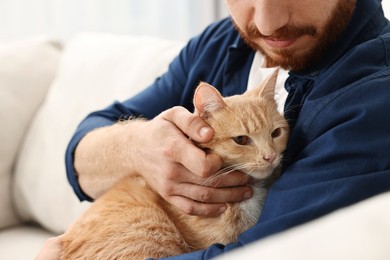 Man petting cute ginger cat on sofa at home, closeup