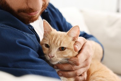 Man petting cute ginger cat on sofa at home, closeup