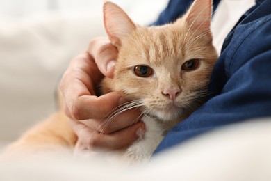 Photo of Man petting cute ginger cat on sofa at home, closeup