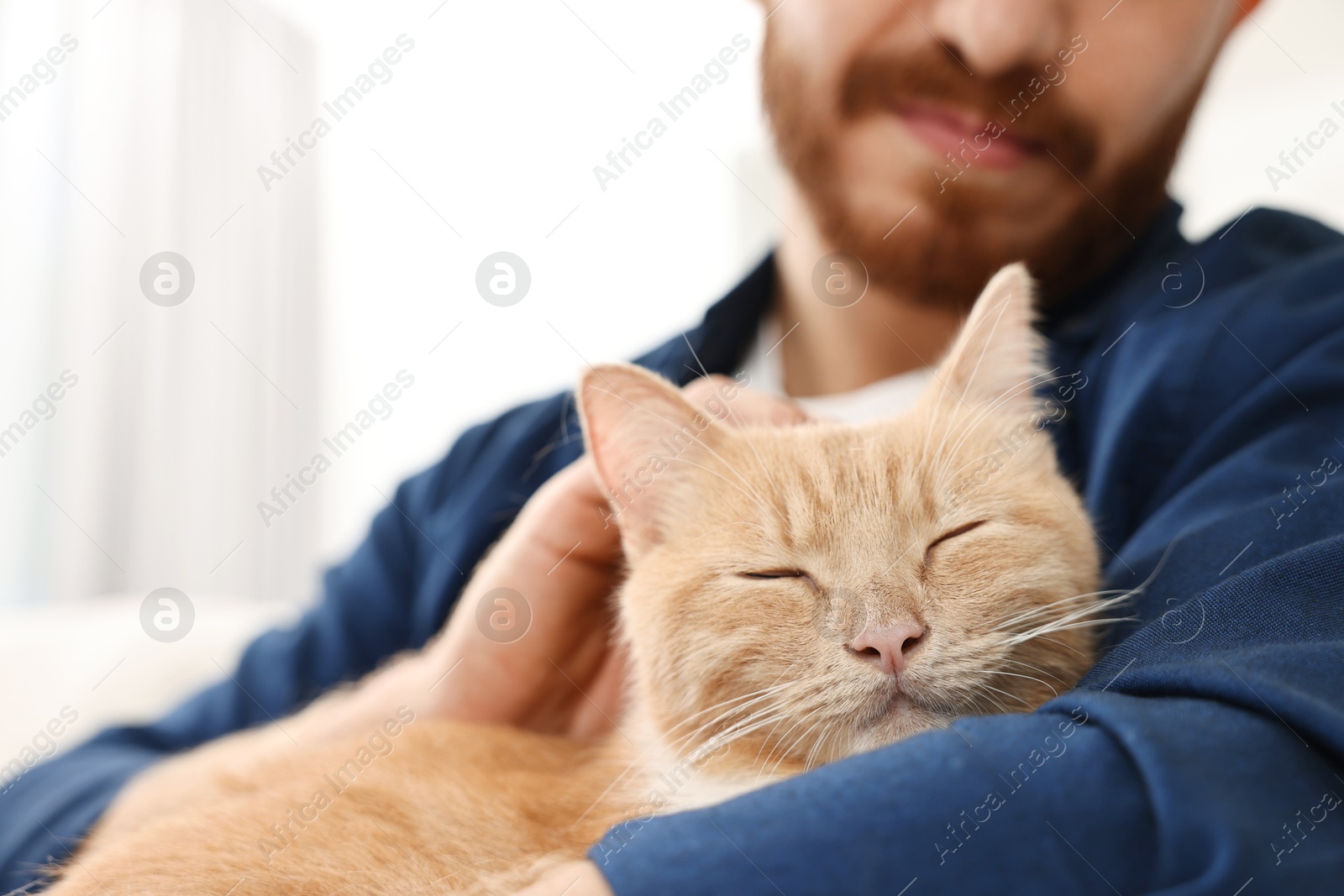 Photo of Man petting cute ginger cat on sofa at home, closeup